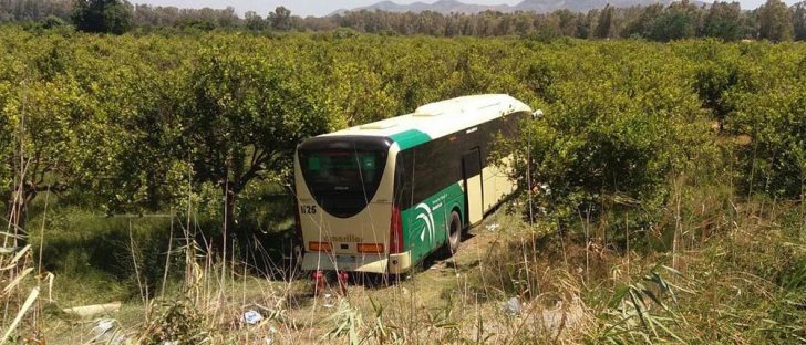 public-transportation-bus-malaga