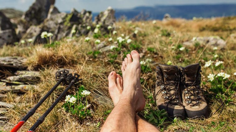 Hiking in Malaga: a walk for each season