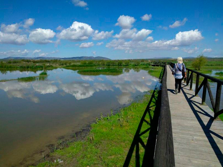 Fuente de Piedra flamingo lake