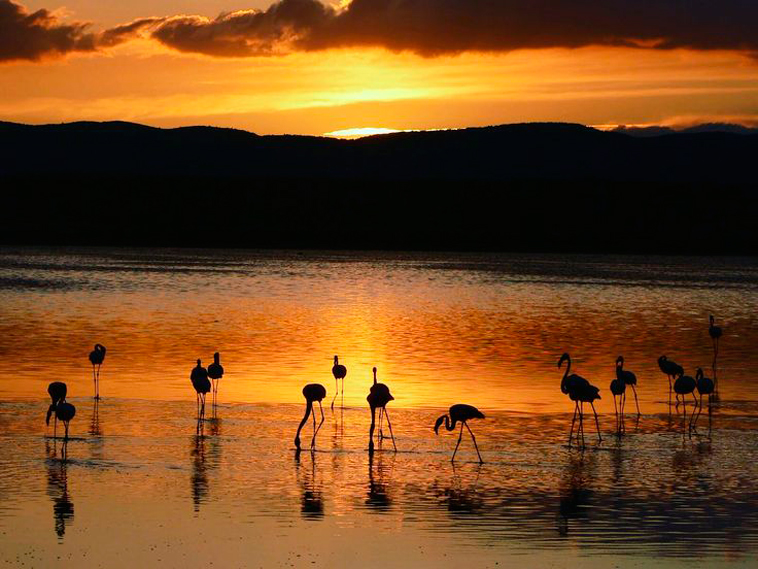 Fuente de Piedra lake at sunset