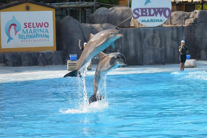 malaga-benalmadena-selwo-marina