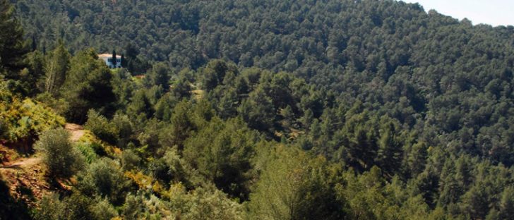 Hiking in Malaga - Montes de Malaga