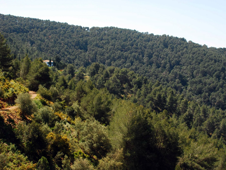 Hiking in Malaga - Montes de Malaga